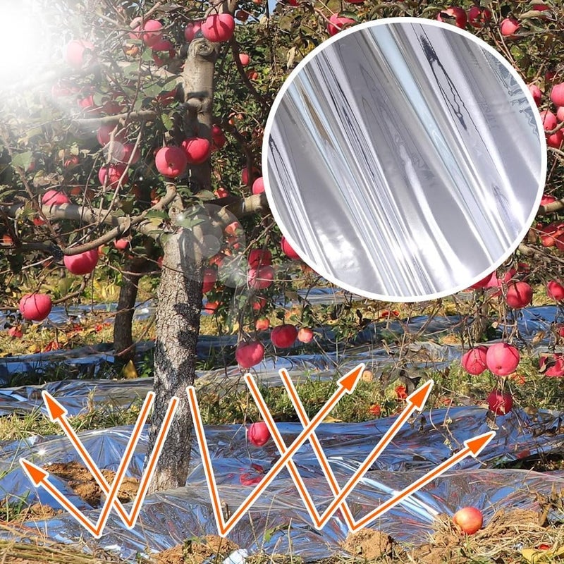 Japard 4 x 328 Ft Highly Reflective Film Roll for Outdoor Indoor Plant Grow Tent Warm House Greenhouse Room Silver - Image 4